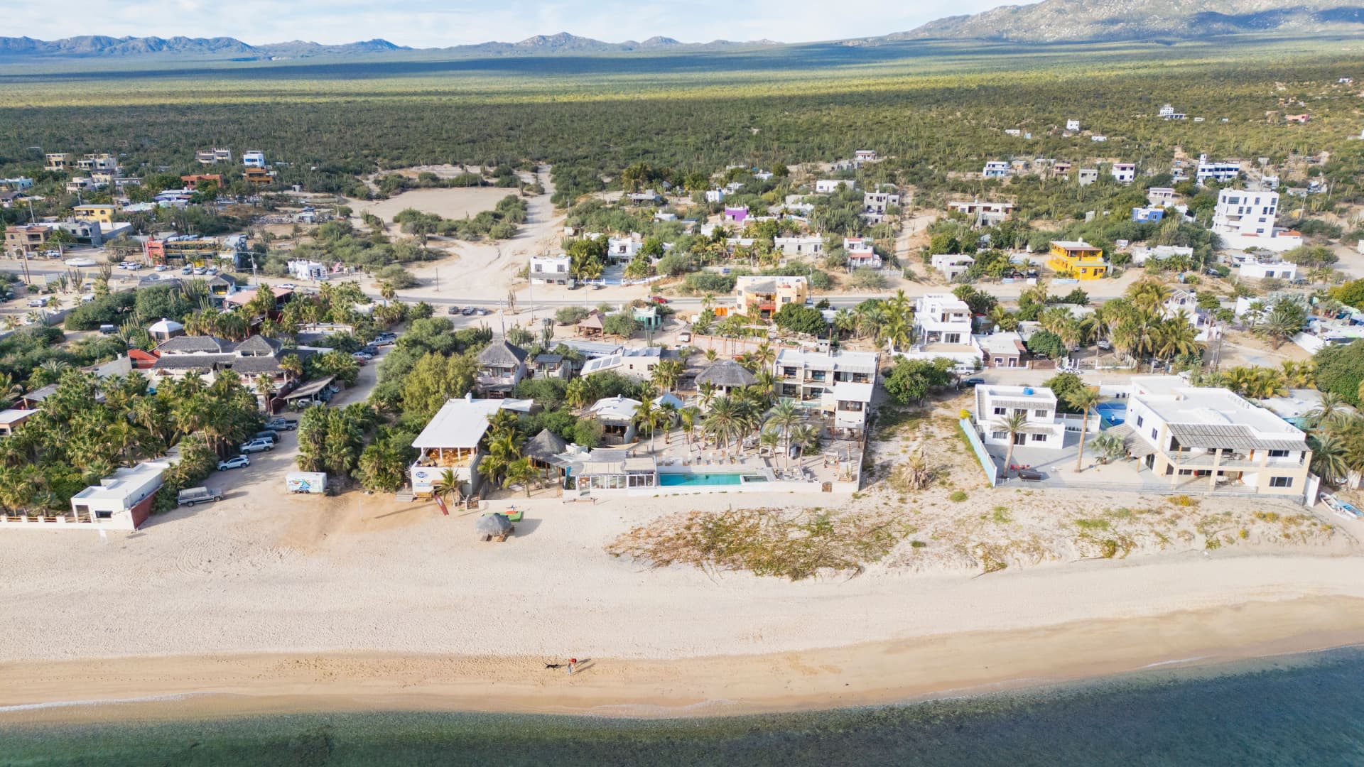 An aerial view of a beachside community with homes, vegetation, and a sandy shoreline.